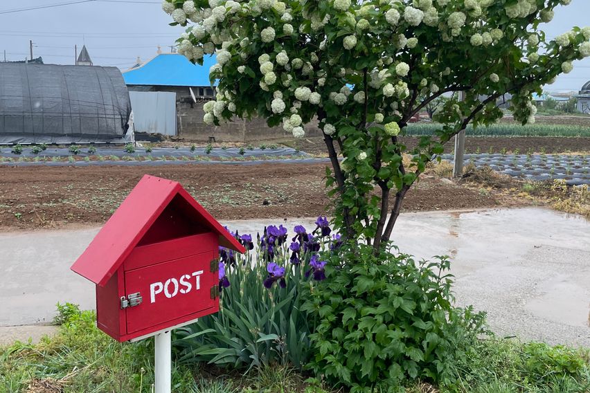삽교시골집-예산홍성내포