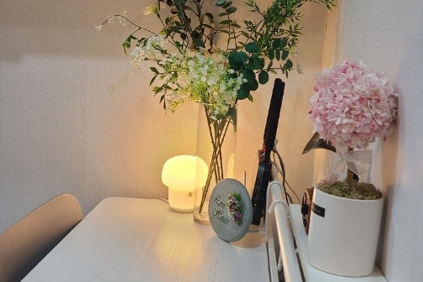 227스테이-스탠다드