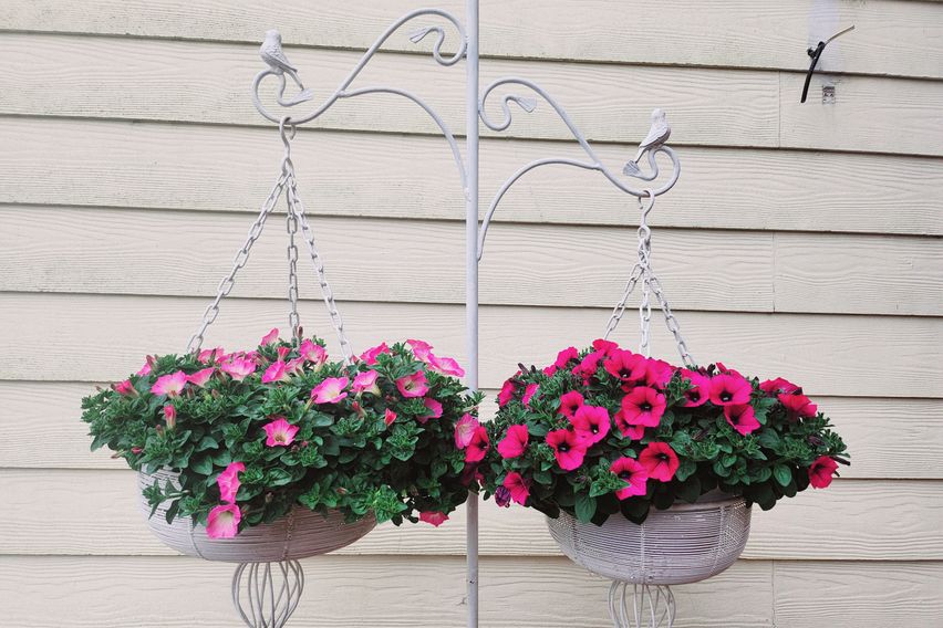 깅화도. 오션뷰 펜션 