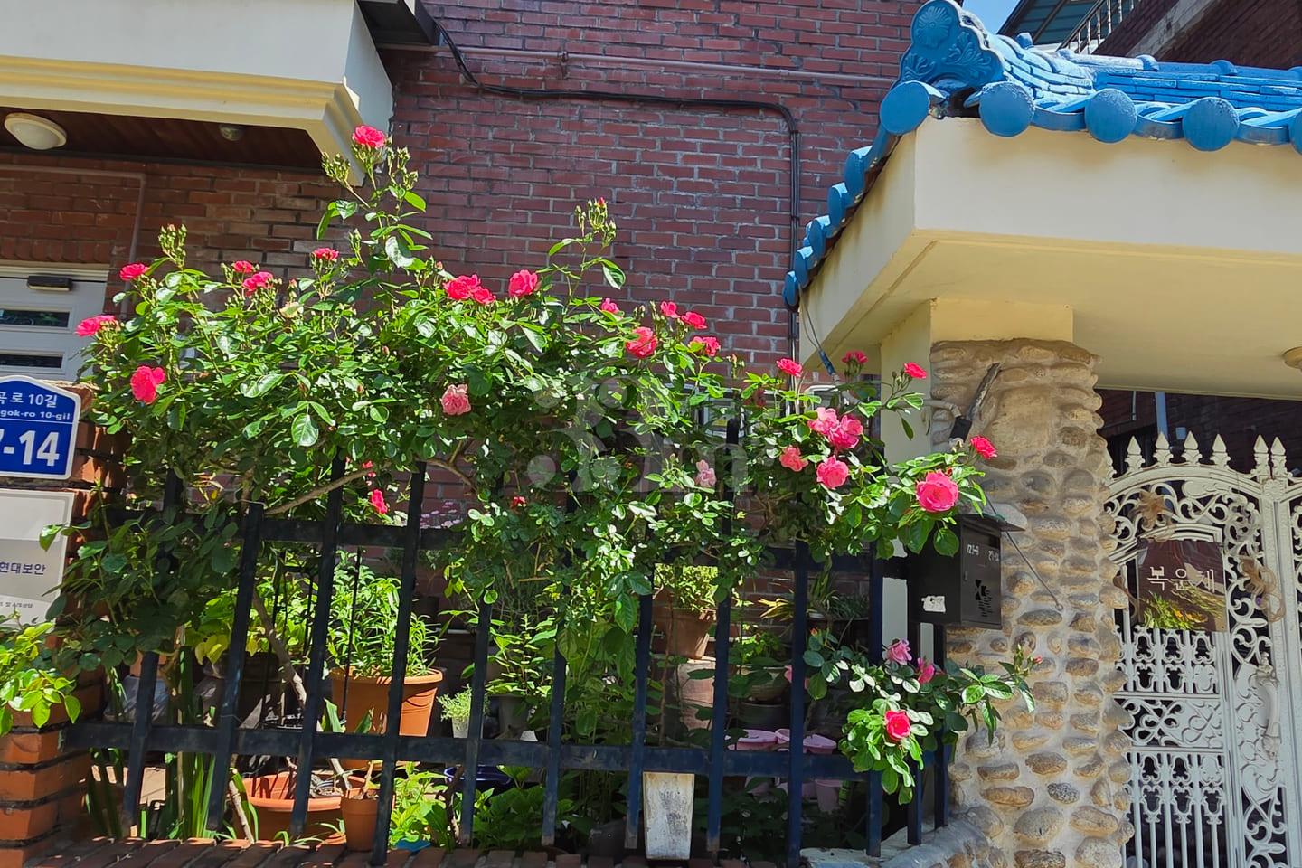 Bokunchae: A House Where Good Fortune and Luc 12th image