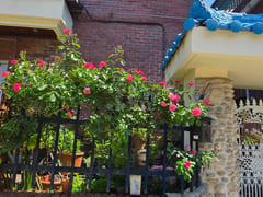 Bokunchae: A House Where Good Fortune and Luc 12th image