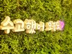 비더스테이 써니스테이 13번째 이미지
