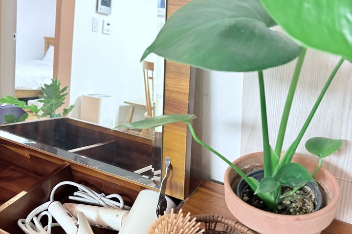 Achasan/Fully Furnished/Maple Viewing Special 17th image