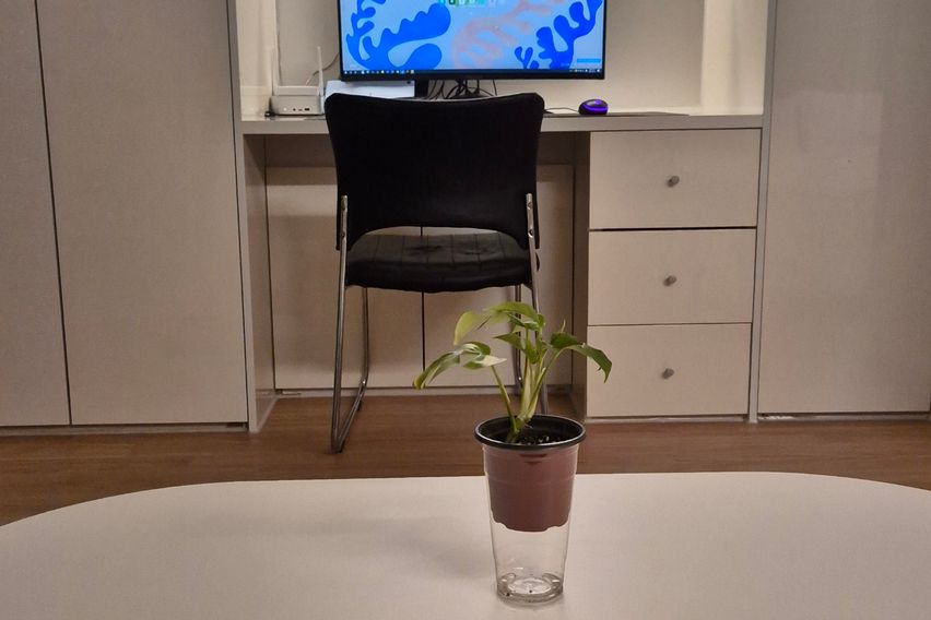 코지 스튜디오 비즈니스