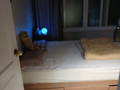 대전 영화촬영지 숲힐링 12번째 이미지