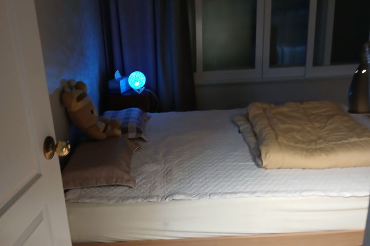 대전 영화촬영지 숲힐링 12번째 이미지