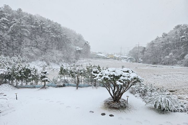 여주대저택 더마음모리 1번째 이미지