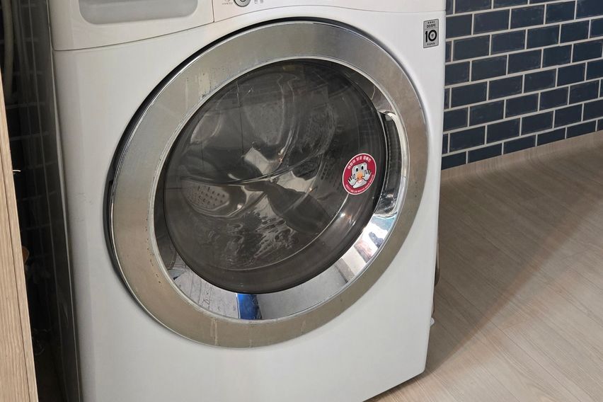 일광 찐빵 뒷집