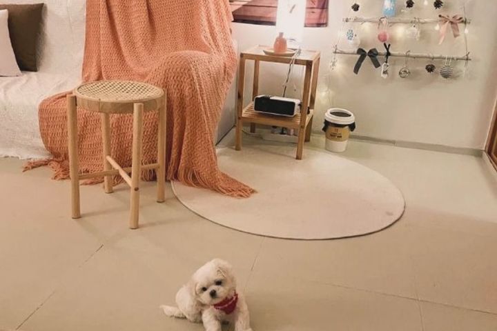 금호동 옥캉스 2 18번째 이미지