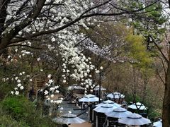 정발산 자연과 새소리 2번째 이미지