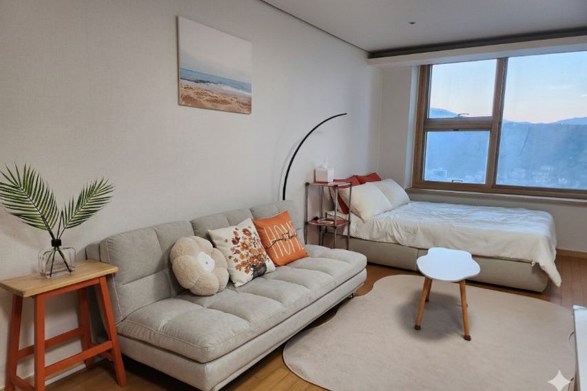 🤎정자/판교(건조기)