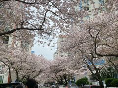 광안리 오션뷰디자인맛집 4번째 이미지