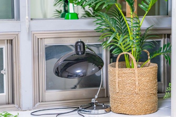 일산호수💜최고뷰감성N7