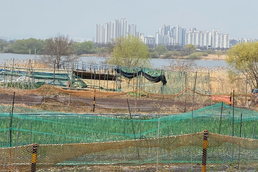 한강뷰 주택 고촌 빨강 11번째 이미지