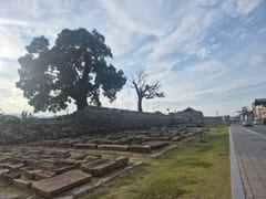 Hwangnidan-gil, Seongdong, and Gyeongju Eupse 13th image