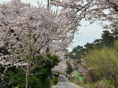 오션뷰주택(성수기) 15번째 이미지