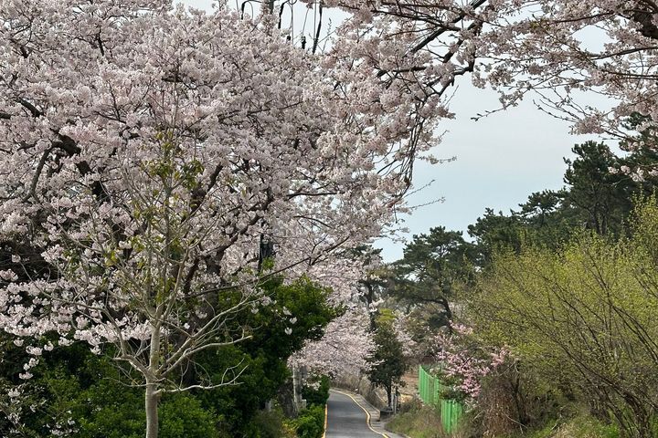 오션뷰주택(성수기) 15번째 이미지