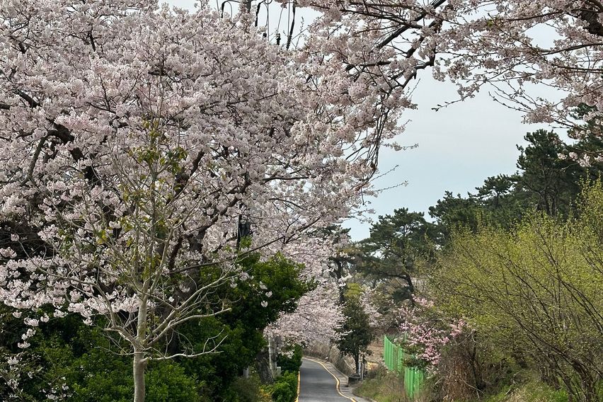 청사포 오션뷰 주택2층