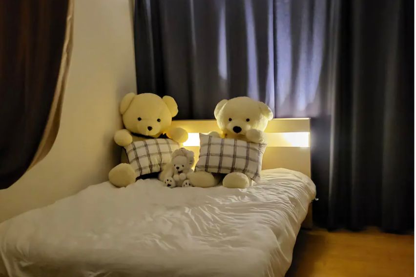 벚꽃양재카페공원 바로앞 10번째 이미지