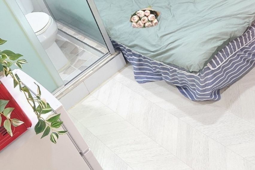 227스테이-스탠다드