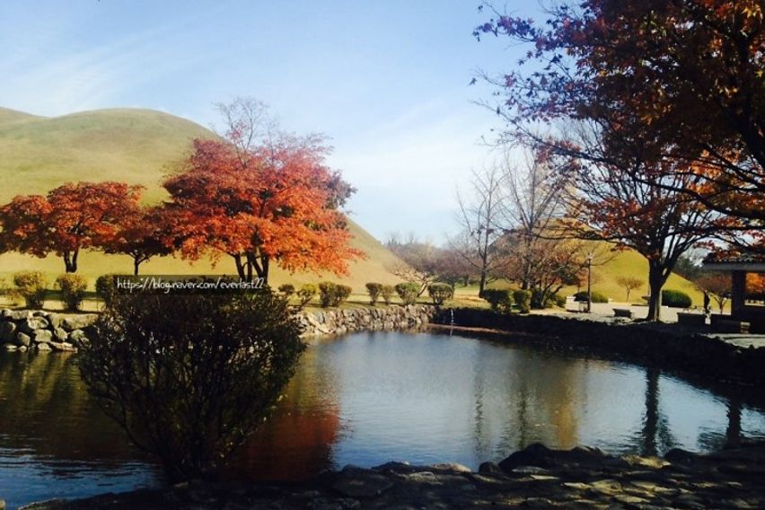 터미널도보3분 202호 16번째 이미지