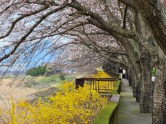 Gurye Red Clay Room Rest Area / Hyusimjeong 10th image