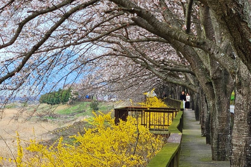 구례 황토방쉼터/휴심정 10번째 이미지