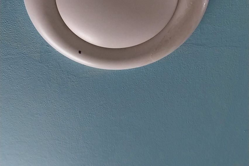 다솔하우스308호