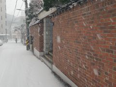 홍대연남동풀옵션 A 7번째 이미지