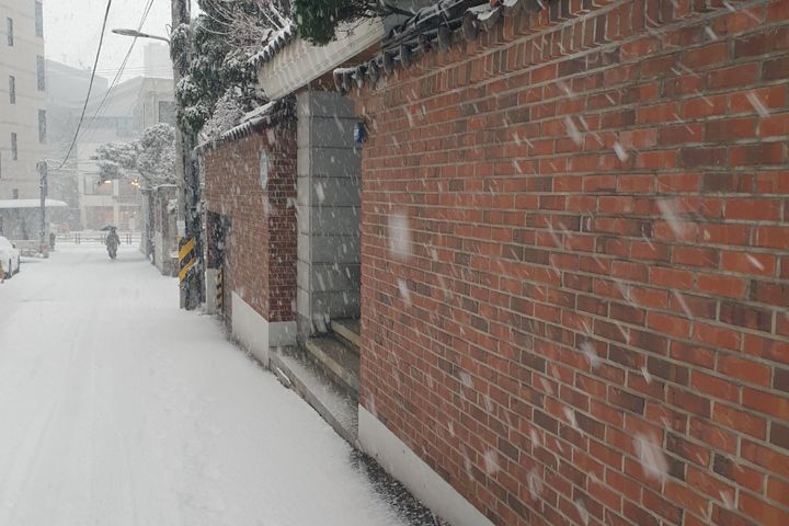 홍대연남동풀옵션 A 7번째 이미지
