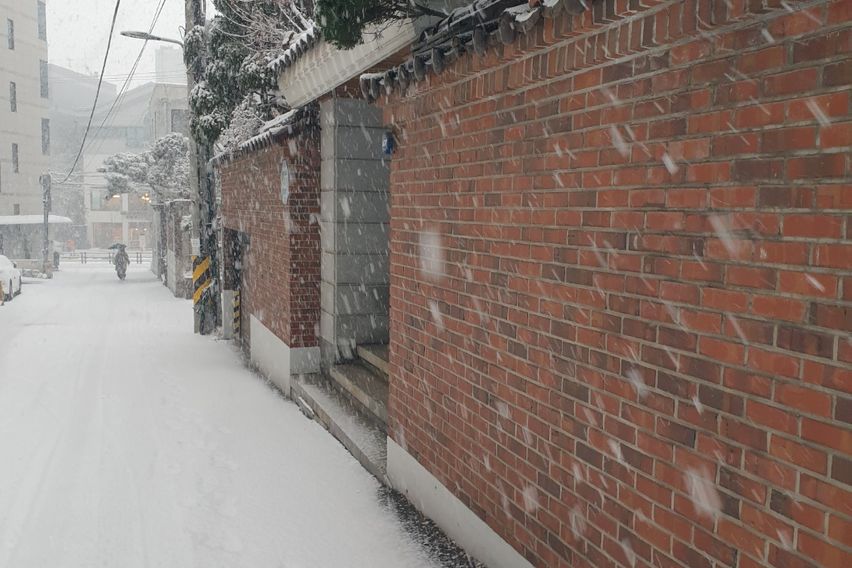 홍대연남동풀옵션 A