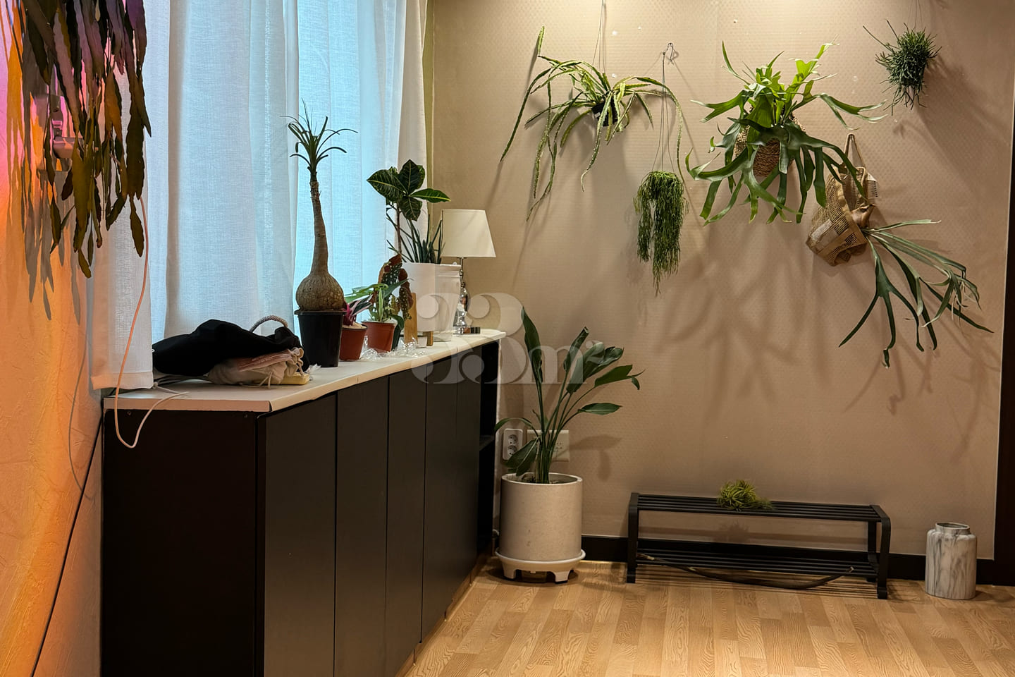 Pet-friendly rooftop right by the subway stat 4th image