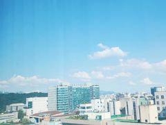 ❤일산호수공원&킨텍스❤ 14번째 이미지