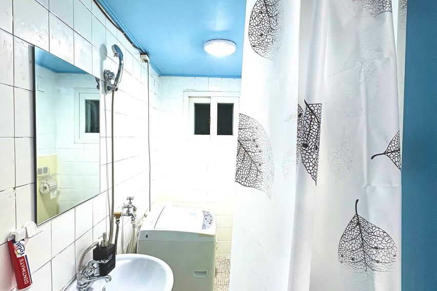 신촌/홍대 10분 투룸