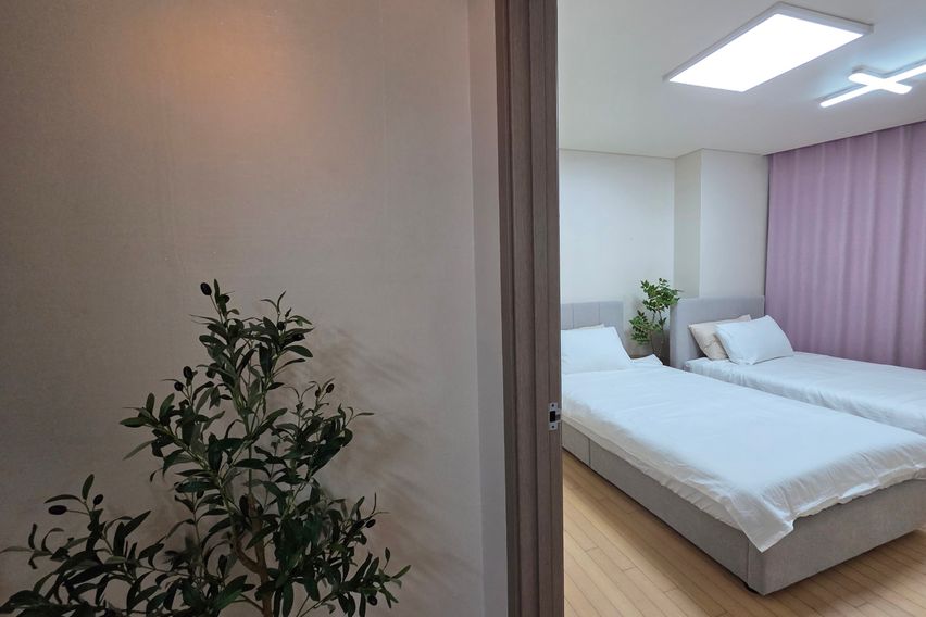 종로 올리브🌿 스테이