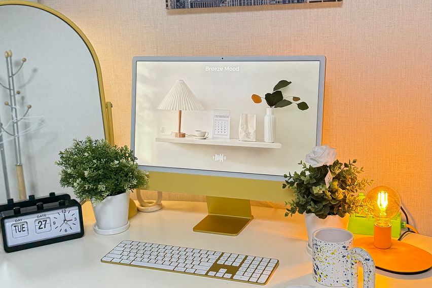 💛🌈선정릉👍1월초특가