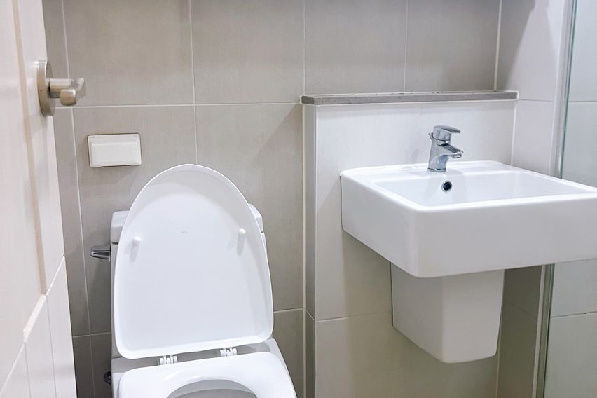 창원 도심1초 심플🍎