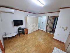 Jinhae Cherry Blossoms / Vacant Studio / 3 1th image