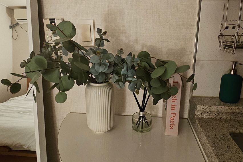 둔산동인근.을지병원출장