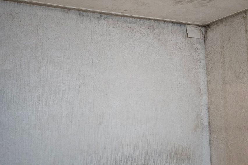 가성비 끝판왕 11번째 이미지