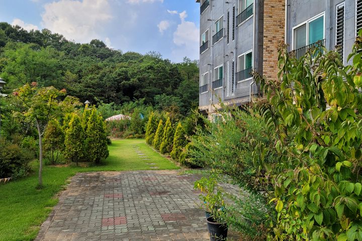 안성 도심속 숲과 정원 13번째 이미지