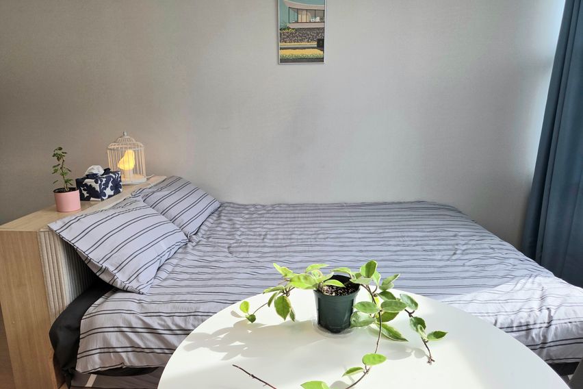 오픈특가 강남 청담역