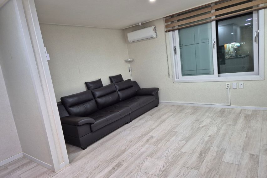 애견가능갈마풀옵션04