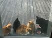 평선원 게스트하우스 7번째 이미지