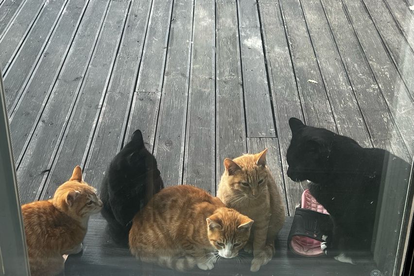 평선원 게스트하우스 7번째 이미지