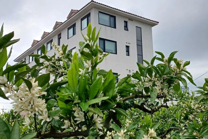 서귀포감귤밭숙소1.5룸