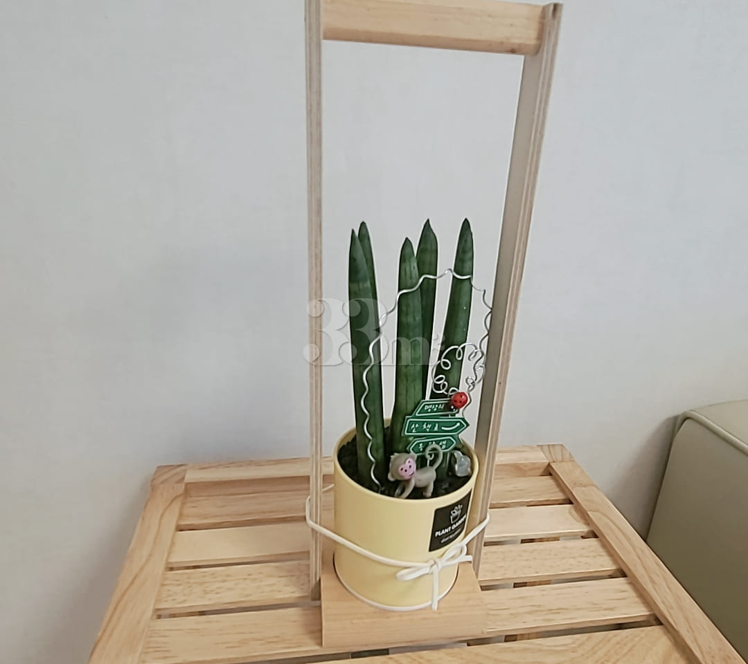 Jeju Triple House 2th image