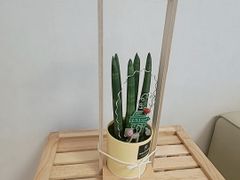 제주 트리플하우스 2번째 이미지
