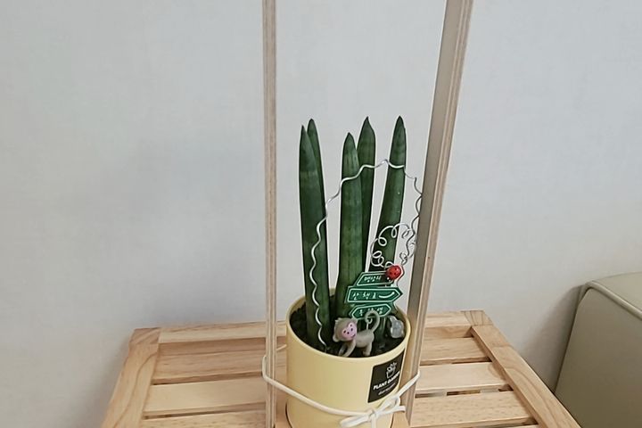 제주 트리플하우스 2번째 이미지