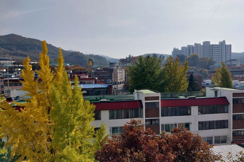 동두천종합운동장 하늘숲 13번째 이미지